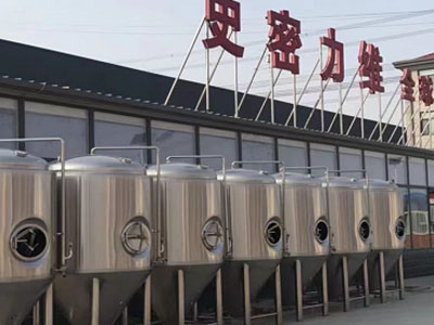 龙陵精酿啤酒设备厂—如何判断精酿啤酒设备的密封件需要更换？
